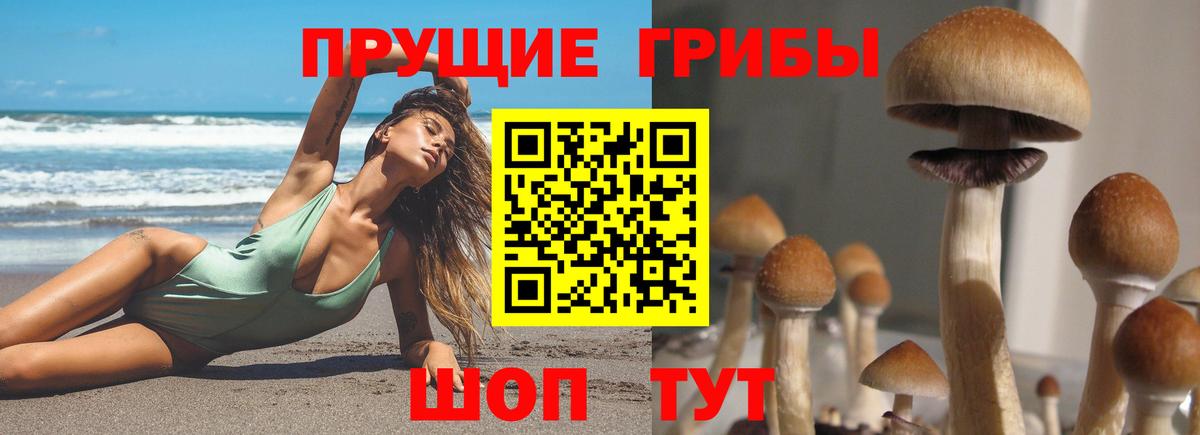 как найти закладки  Галлюциногенные грибы Cubensis  Вход с VPN  Дюртюли  Галлюциногенные грибы Magic Shrooms 