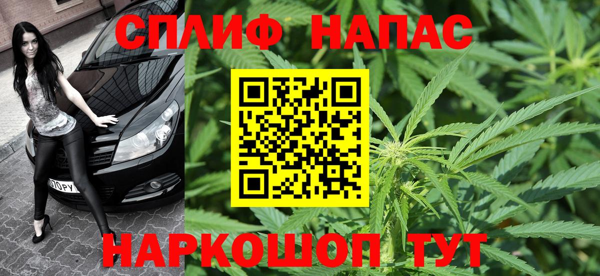 Марихуана семена  Каннабис планчик  Вход с VPN  Дюртюли  Шишки марихуана OG Kush 